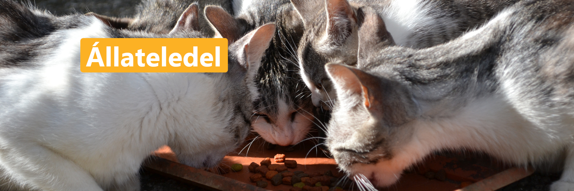 Állateledelek, minden kedvenceinknek